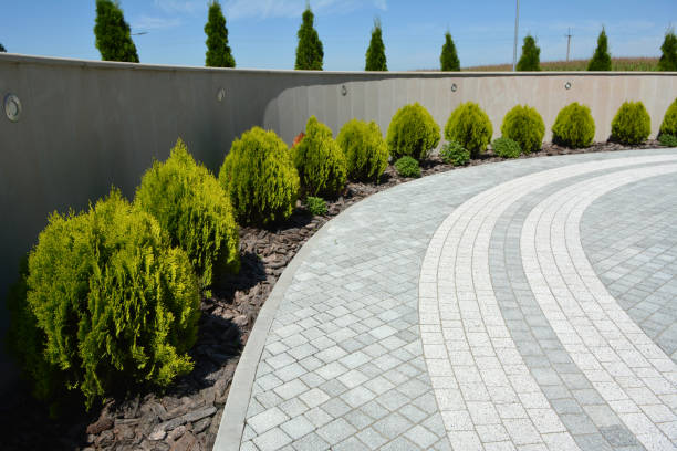 Reasons to Select Us for Your Driveway Paving Requirements in Greensburg, LA